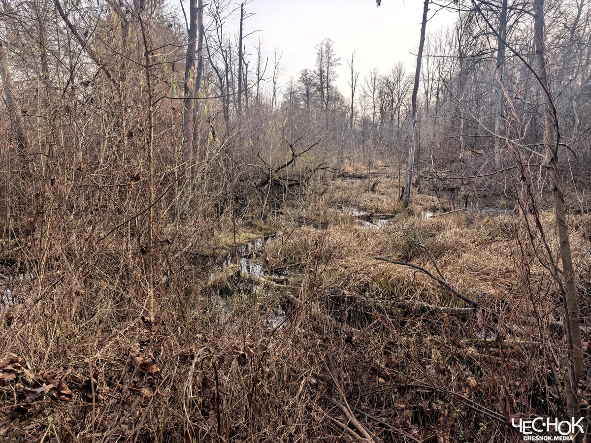 Вольгинский канализация слив 5