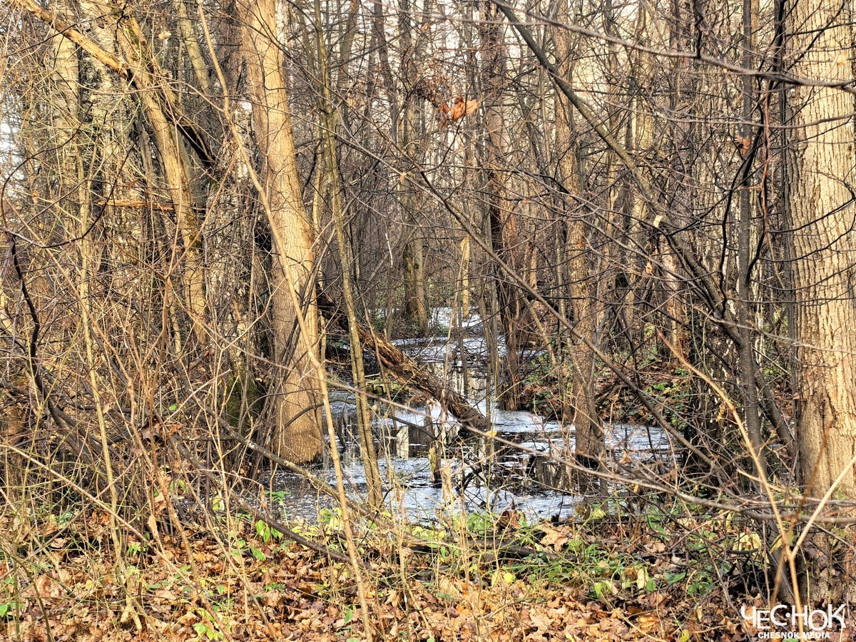 Вольгинский канализация слив 5