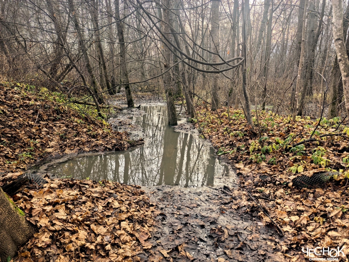 Вольгинский канализация слив 5