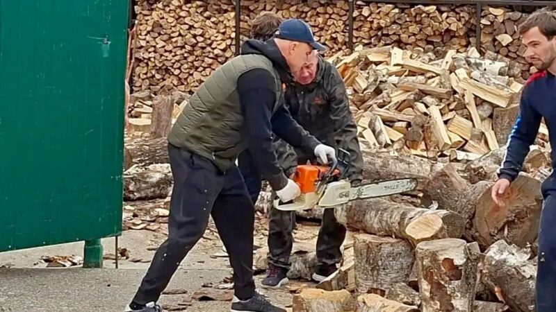 Мэр Владимира занялся распилом и почувствовал себя Матроскиным