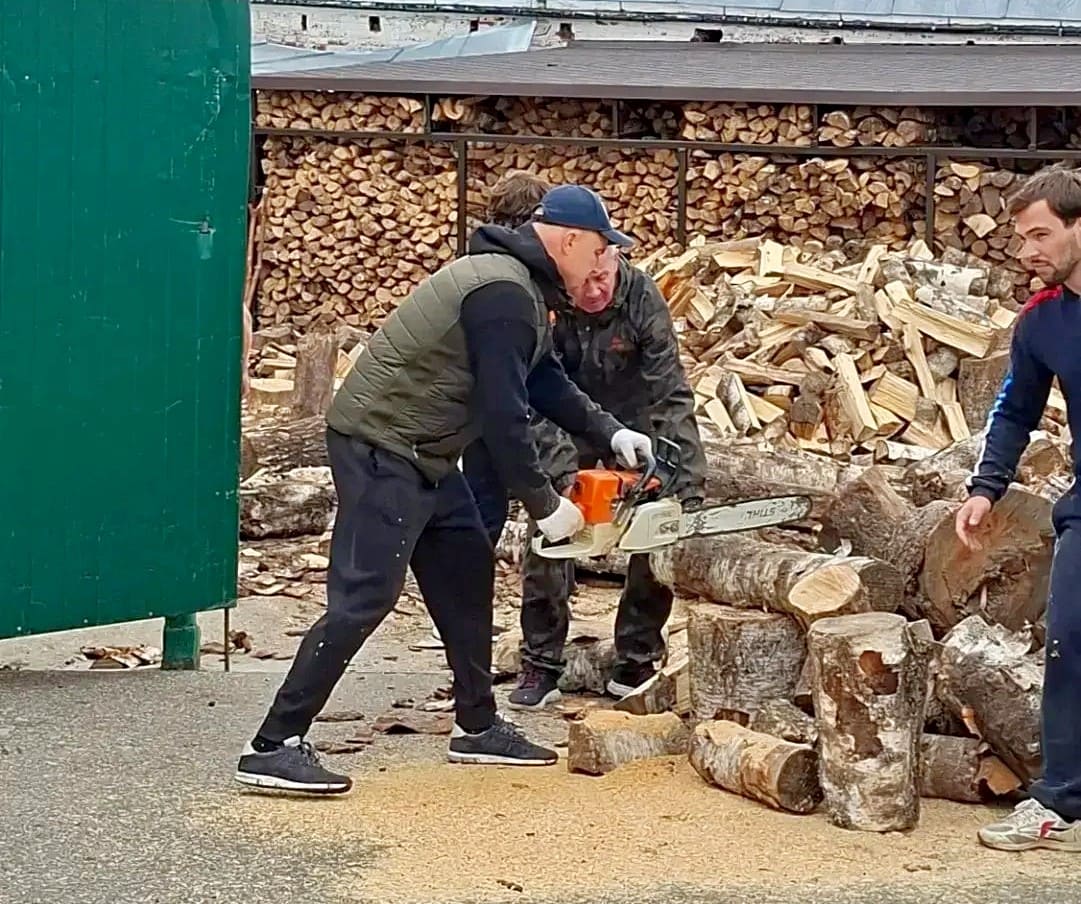 Мэр Владимира занялся распилом и почувствовал себя Матроскиным
