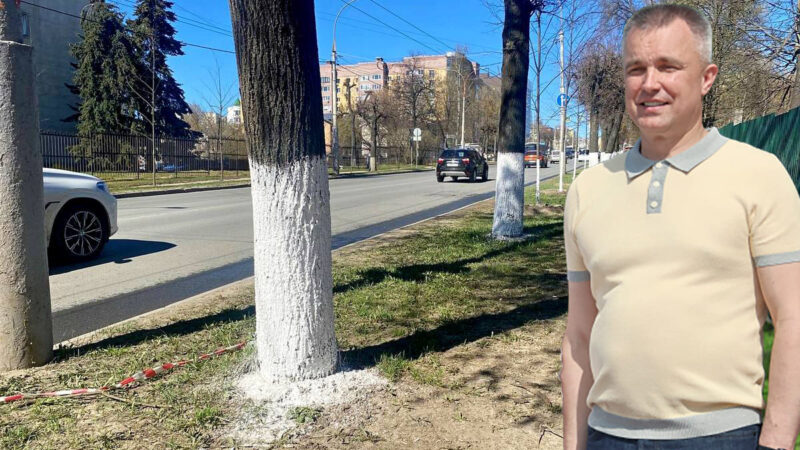 На что поднимается настроение у нового мэра Владимира
