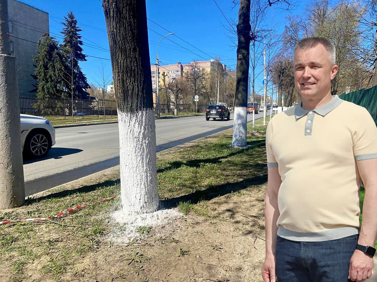 На что поднимается настроение у нового мэра Владимира