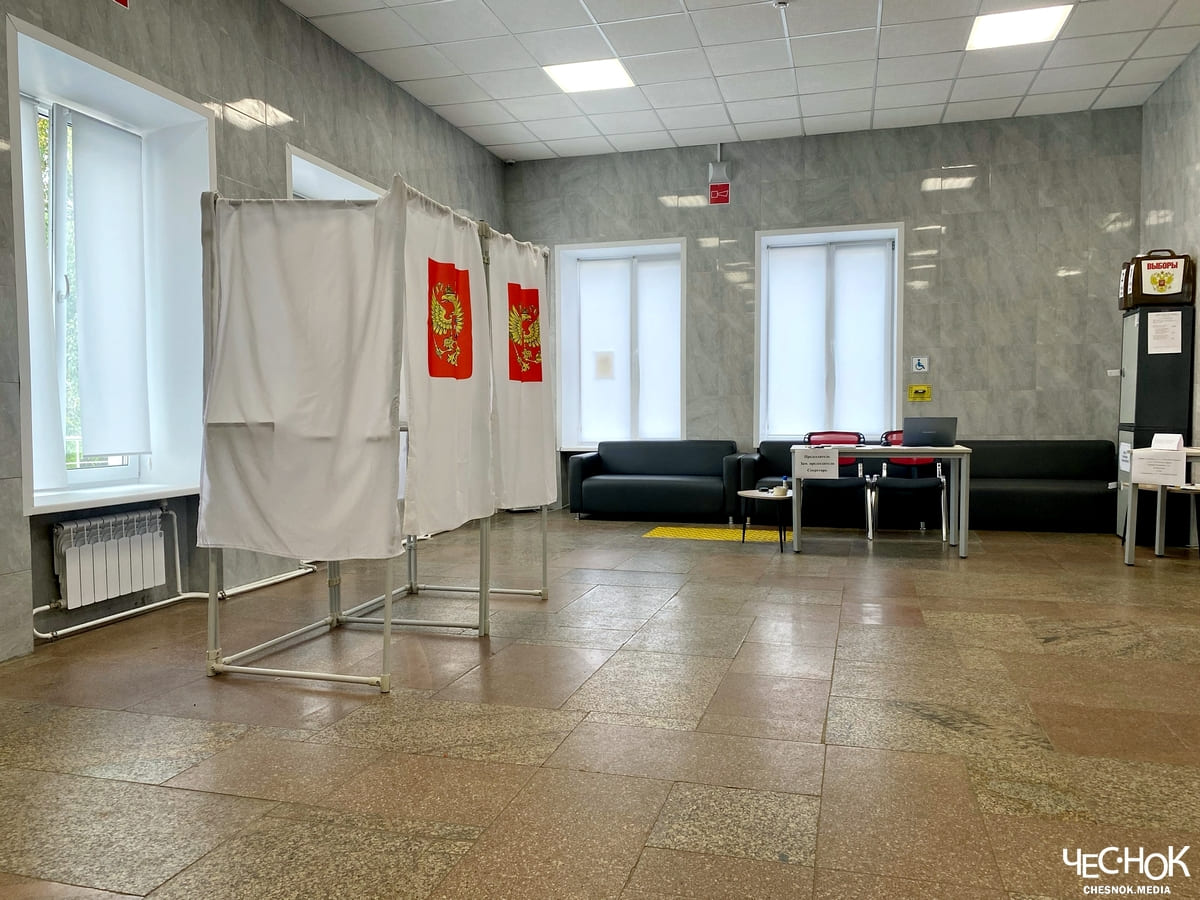 Выборы голосование