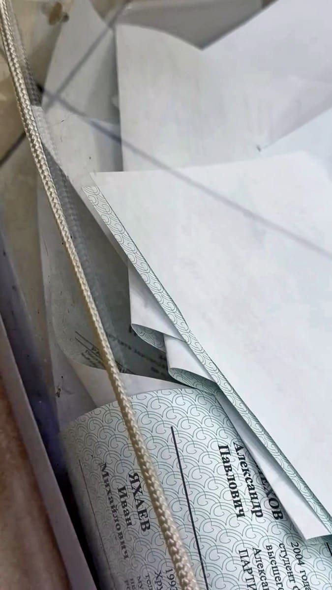 Выборы гусь нарушения бюллетени