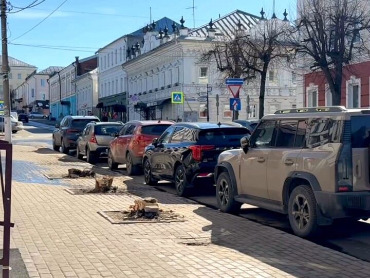 В центре Владимира вандалы срубили оставшиеся деревья