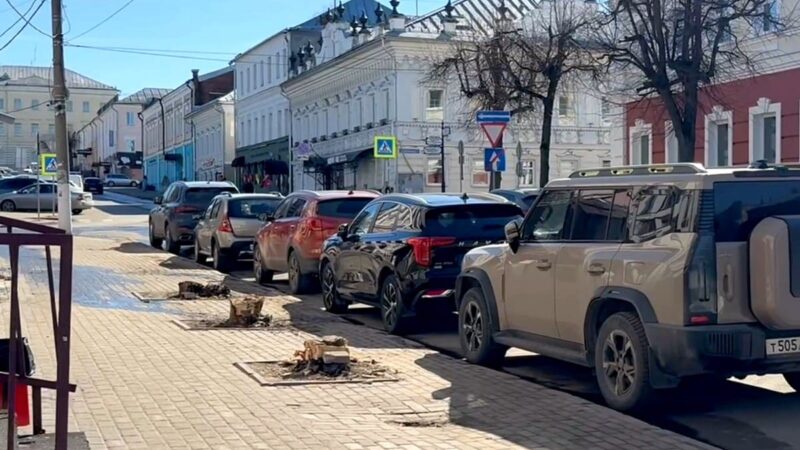 В центре Владимира вандалы срубили оставшиеся деревья