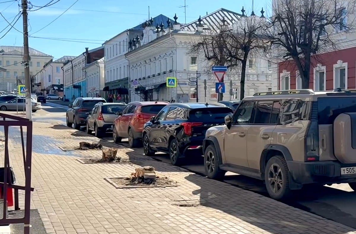 В центре Владимира вандалы срубили оставшиеся деревья