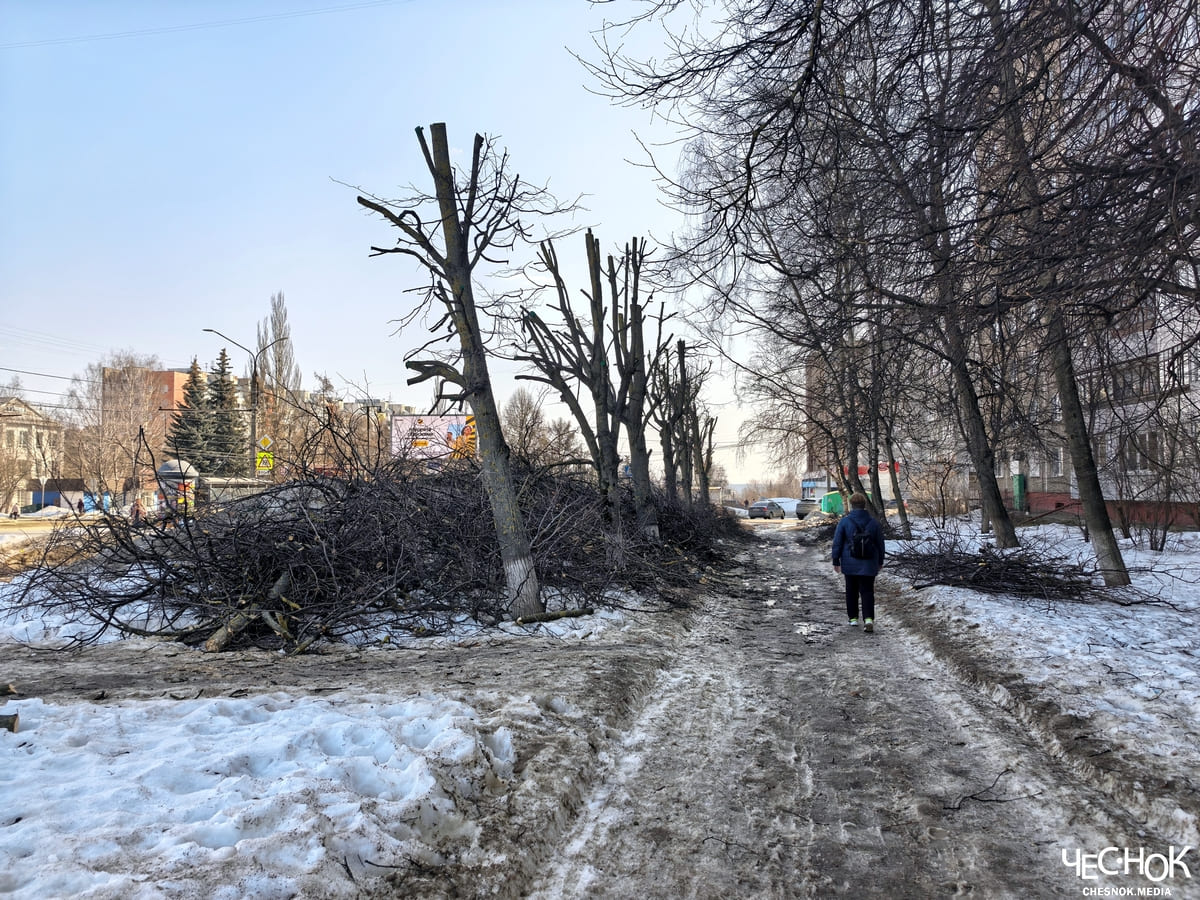 Вырубка деревьев доброе 2