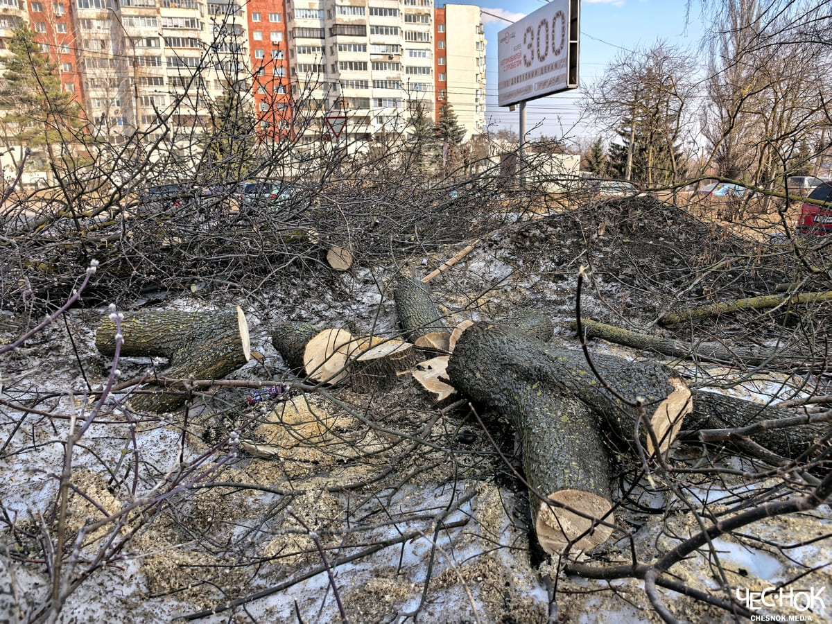 Вырубка деревьев доброе 2