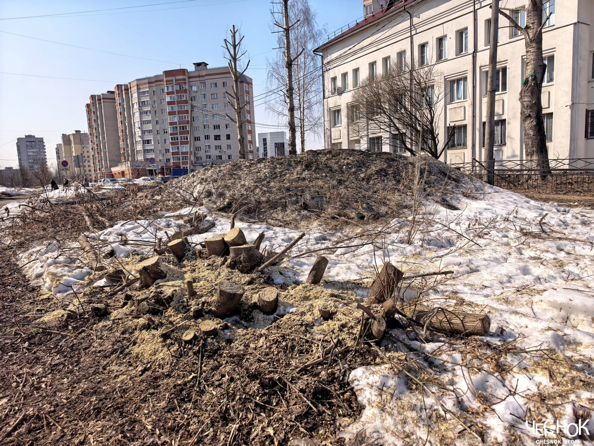 Вырубка деревьев доброе 2