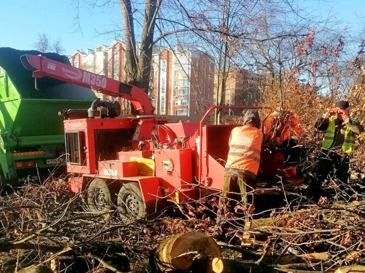 Парк у ДТЮ вырубают с помощью «Торнадо»