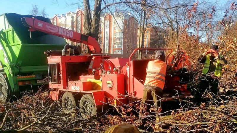 Парк у ДТЮ вырубают с помощью «Торнадо»