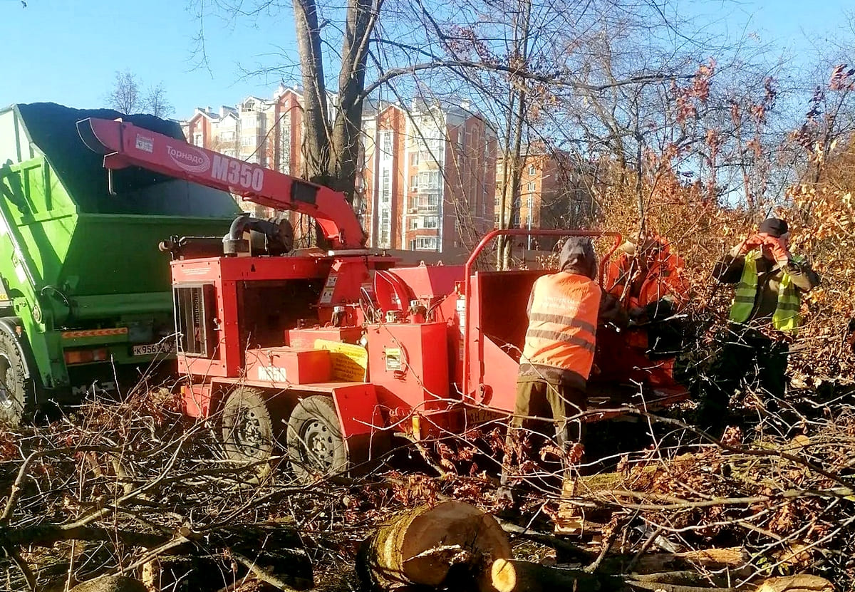 Парк у ДТЮ вырубают с помощью «Торнадо»