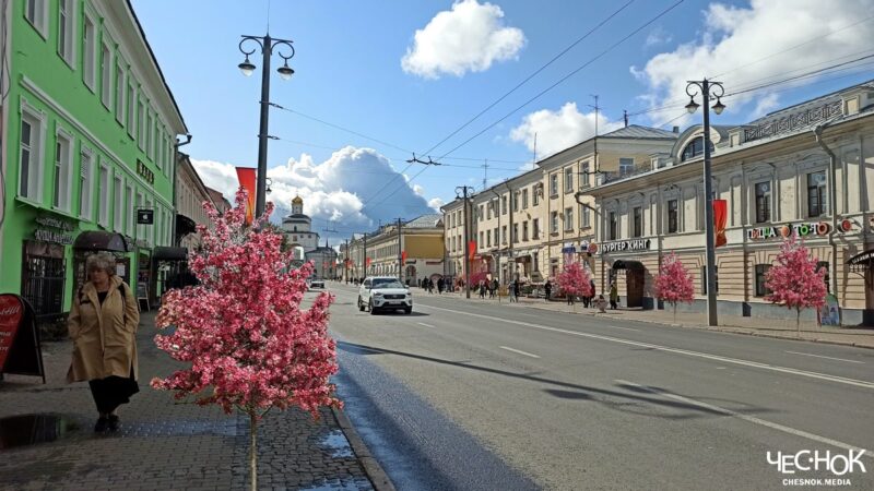 В центре Владимира высадят краснолистные яблони