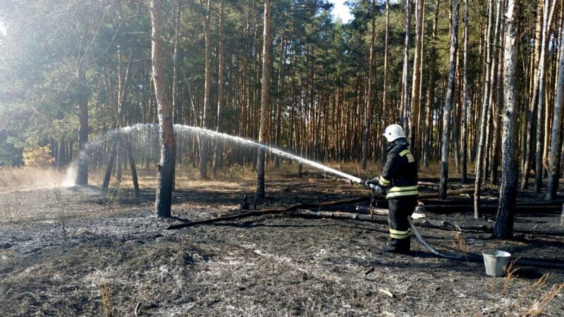 Во Владимире загорелся Загородный парк