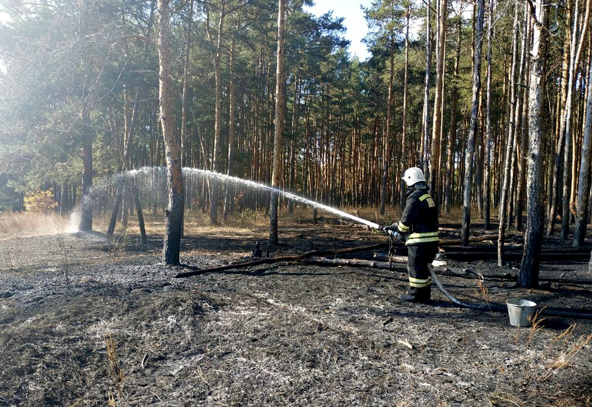 Во Владимире загорелся Загородный парк