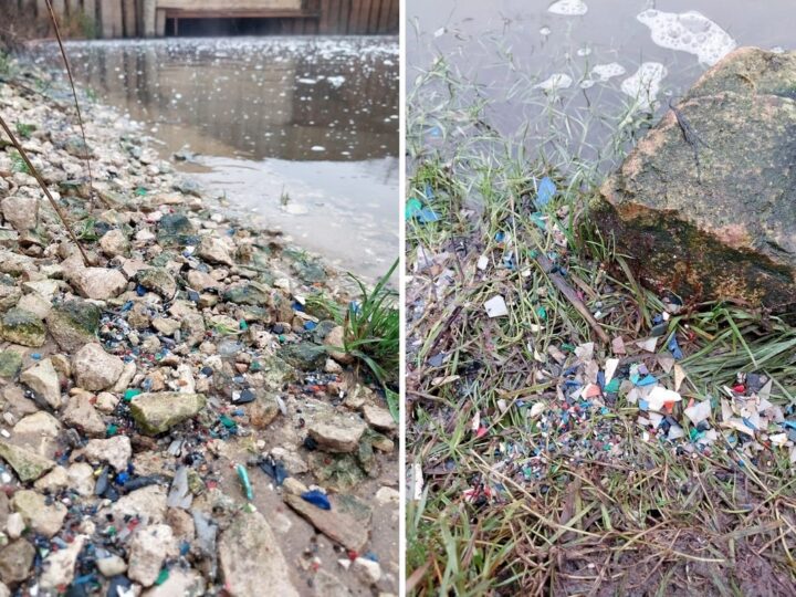 Владимирские рыбаки попросили Путина остановить «экологический терроризм»