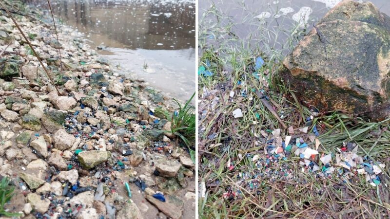 Клязьму во Владимире вновь загрязнили пластиком