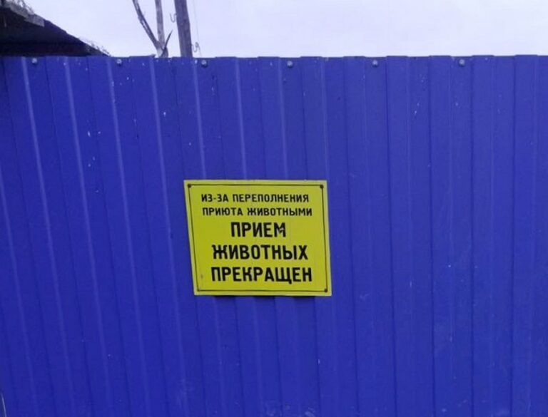 Приют гусь хрустальный