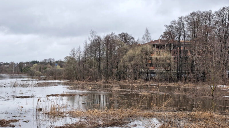 ЖК «Бавария» во Владимире вновь подтопило Клязьмой