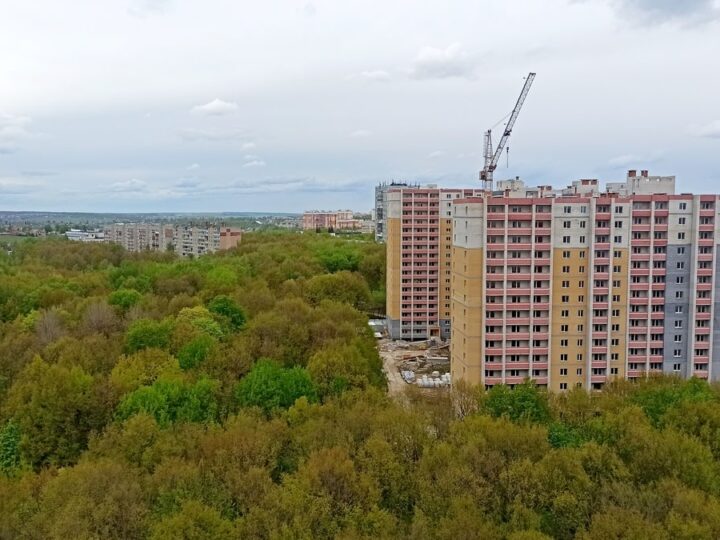 Мельниковы выступили против проекта застройки парка «Дружба»