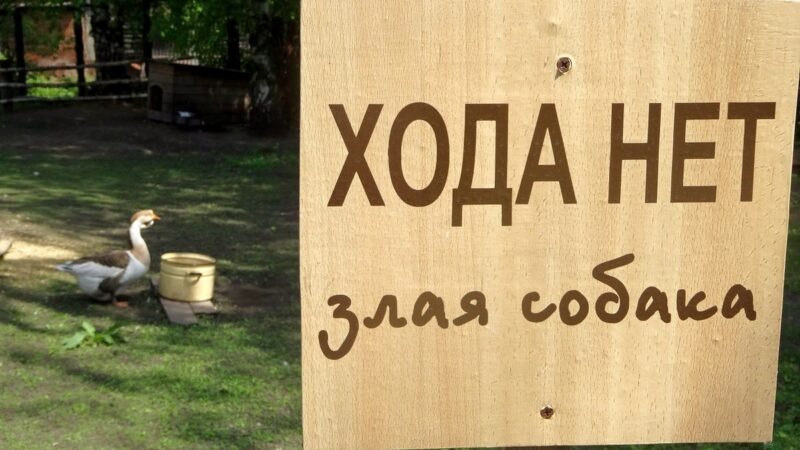 Жительница Владимира отсудила 140 тысяч за укус собаки